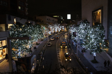 DSC01647.JPG