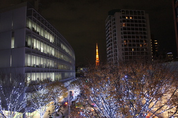 DSC01649.JPG