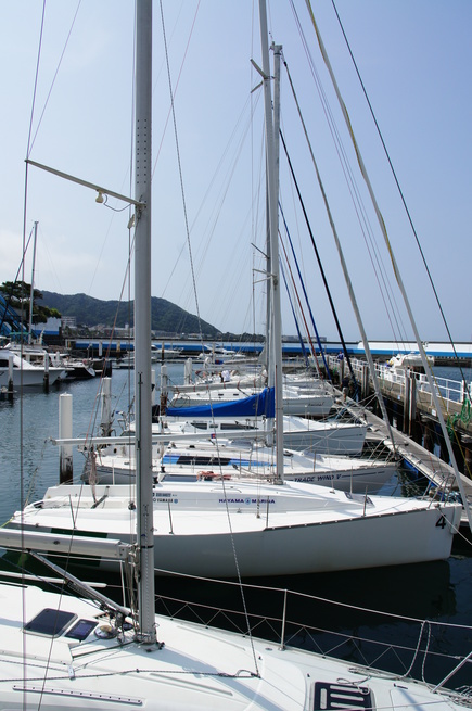 DSC03062.JPG