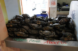 DSC03453.JPG