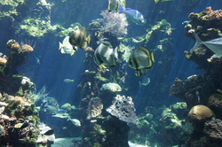 DSC03504.JPG