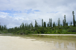 DSC03870.JPG
