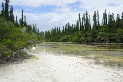 DSC03873.JPG