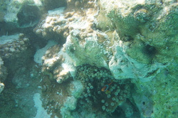 DSC04021.JPG