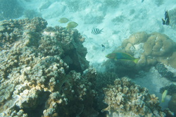 DSC04038.JPG