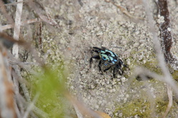 DSC04071.JPG