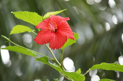 DSC04092.JPG