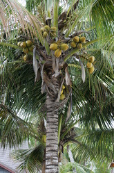 DSC04123.JPG