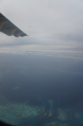 DSC04152.JPG