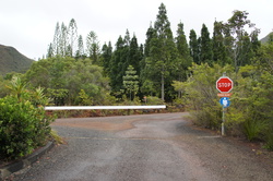 DSC04172.JPG