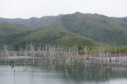 DSC04199.JPG