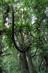 DSC04212.JPG