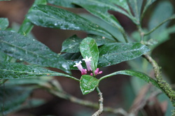 DSC04221.JPG