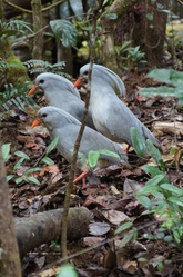 DSC04242.JPG