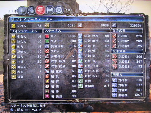 DarkSouls2_Lv73.jpg