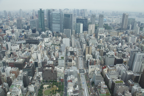 DSC08036.JPG