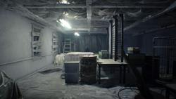 BIOHAZARD 7 resident evil グロテスクVer__20170225154720.jpg
