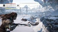 Horizon Zero Dawn™_20170504015737.jpg