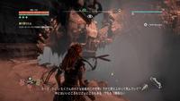 Horizon Zero Dawn™_20170522031258.jpg